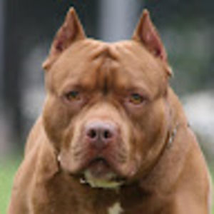 Meet your Posher, Nayeli